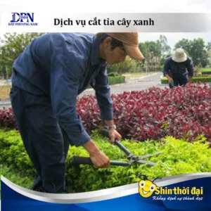 Công Ty TNHH Dịch Vụ Đất Phương Nam