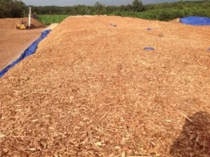 Gỗ Cao Su Xuân Dũng – Công Ty TNHH Gỗ Xuân Dũng