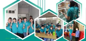 Cung ứng Nhân Lực Hà Gia Phát – Công Ty Cổ Phần Phát Triển Nguồn Nhân Lực Hà Gia Phát