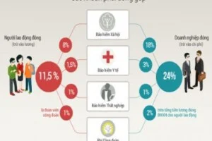 Cung ứng Nhân Lực Hà Gia Phát – Công Ty Cổ Phần Phát Triển Nguồn Nhân Lực Hà Gia Phát