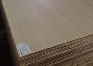 Engineered20plywood