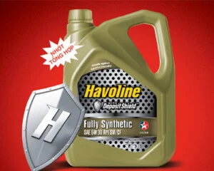 Havoline20fully20synthetic205w2030