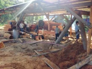 Công Ty TNHH Hoàn Xanh