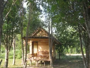 Du Lịch Sinh Thái Nhà Vườn – Phú Quốc