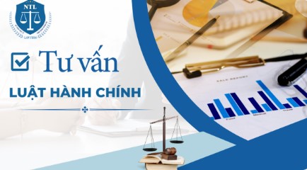 NT INTERNATIONAL LAW FIRM