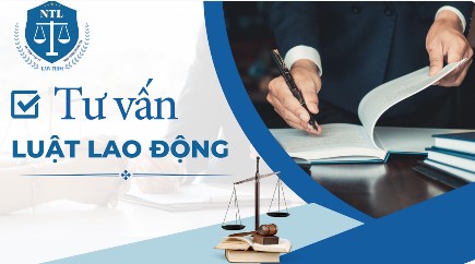 NT INTERNATIONAL LAW FIRM