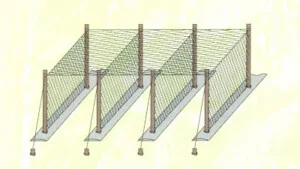 L­ii20nng20nghiop