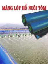 Vật Tư Nông Nghiệp Nông Thành – Công Ty TNHH Nông Thành