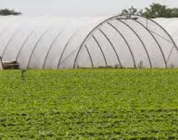 Công Ty TNHH World Vina