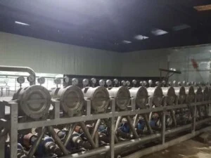 Tinh Bột Sắn EXPORTVN – Công Ty TNHH EXPORTVN