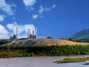 Tinh Bột Sắn EXPORTVN – Công Ty TNHH EXPORTVN