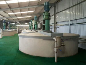 Tinh Bột Sắn EXPORTVN – Công Ty TNHH EXPORTVN