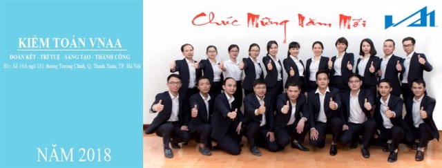 Công Ty TNHH Kế Toán, Kiểm Toán Việt Nam (VNAA)