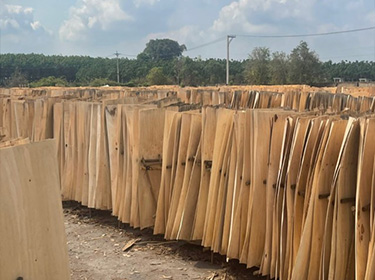 Lâm Sản Bình Dương – Công Ty Cổ Phần Kinh Doanh Lâm Sản Bình Dương