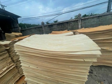 Lâm Sản Bình Dương – Công Ty Cổ Phần Kinh Doanh Lâm Sản Bình Dương