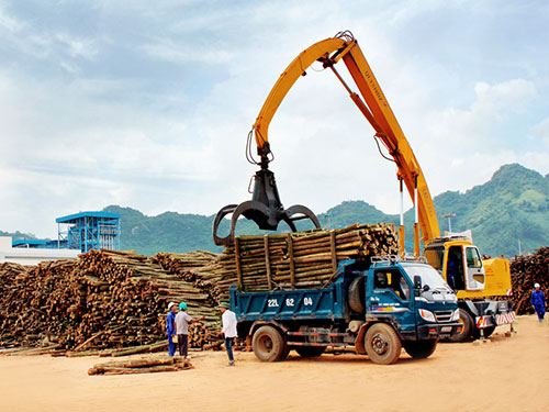 Công Ty Cổ Phần Giấy Trường Xuân