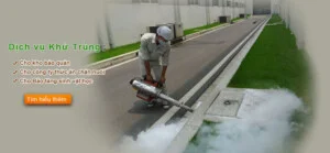 Bắc Trường Sa Pestcontrol – Công Ty TNHH Thương Mại Dịch Vụ Bắc Trường Sa
