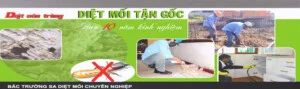 Bắc Trường Sa Pestcontrol – Công Ty TNHH Thương Mại Dịch Vụ Bắc Trường Sa