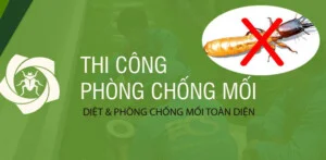 Bắc Trường Sa Pestcontrol – Công Ty TNHH Thương Mại Dịch Vụ Bắc Trường Sa