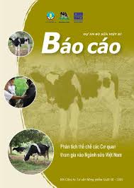 bao-cao-giam-sat-images