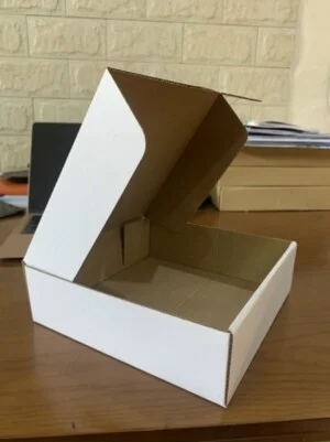 Thùng Giấy Carton Sài Gòn Nguyễn – Công Ty TNHH Đầu Tư Thương Mại Sài Gòn Nguyễn