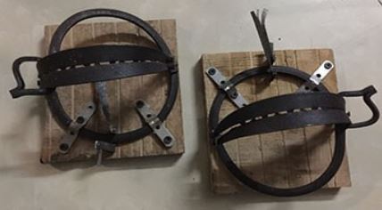 Công Ty TNHH DV Tư Vấn Đầu Tư Newzone (Yến Vi Sơn)