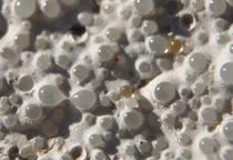 Hóa Chất Kemic – Công Ty Cổ Phần Kemic