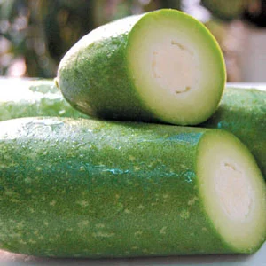 Công Ty TNHH Hàng Xanh