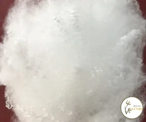 Bông Sợi Lê Việt – Công Ty TNHH Sản Xuất Thương Mại Bông Sợi Lê Việt