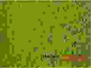 Thực Phẩm Hòa Phát – Công Ty TNHH Thương Mại Chế Biến Thực Phẩm Hòa Phát