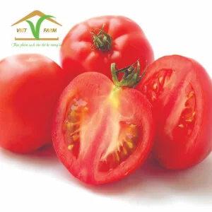 Công Ty TNHH Việt F.A.R.M