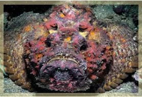 Công Ty TNHH Nhà Hàng 126