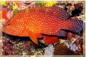 Công Ty TNHH Nhà Hàng 126