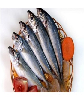 Thực Phẩm Trường Thịnh – Công Ty TNHH Phân Phối Thực Phẩm Trường Thịnh