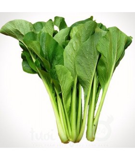 Thực Phẩm Trường Thịnh – Công Ty TNHH Phân Phối Thực Phẩm Trường Thịnh