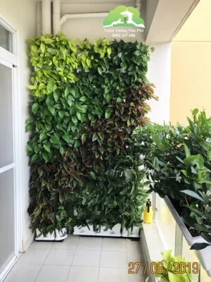 Công Ty TNHH Khang Ngọc Khánh