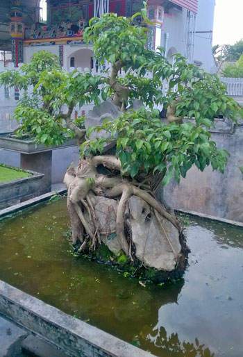 Công ty cổ phần anh huy chiến thắng