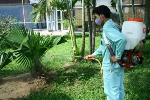 Chi Nhánh Công Ty TNHH Ngoại Thất Xanh
