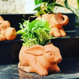 Chậu Trồng Cây, Gốm Sứ Trang Trí Sân Vườn Việt Nam – Công Ty TNHH Gốm Sứ Sân Vườn Việt Nam