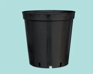 Chau20cung20cc