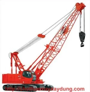 Công Ty Cổ Phần Trần Dương Đồng Tiến