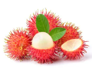 Thực Phẩm MFSD – Công Ty TNHH Một Thành Viên MFSD