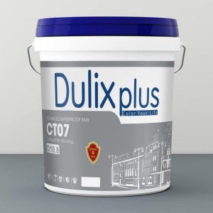Sơn Dulix – Công Ty Cổ Phần Sơn Dulix Việt Nam