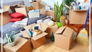 Công Ty TNHH TM DV Bùi Gia Express