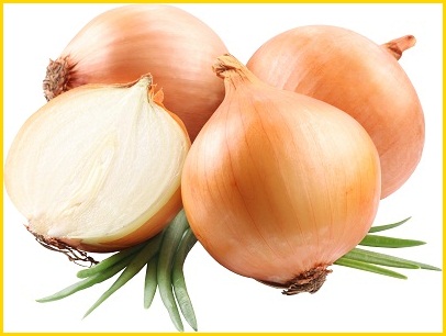 Nông Sản Hanfimex Group – Công Ty Cổ Phần Tập Đoàn Hanfimex Việt Nam