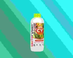 Công Ty Cổ Phần Giải Pháp GREEN LIFE