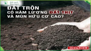 Đất Nông Nghiệp Dinh Dưỡng KNK Green – Công Ty Cổ Phần Thương Mại KNK Việt Nam