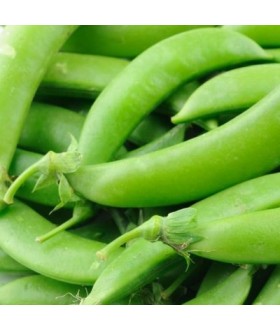 Thực Phẩm Trường Thịnh – Công Ty TNHH Phân Phối Thực Phẩm Trường Thịnh