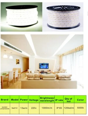 Day Den Led201