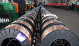 Que Hàn Phương Phương Trang – Công Ty TNHH MTV Phương Phương Trang